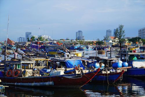 Chủ tàu vui một, thương nhân vui mười