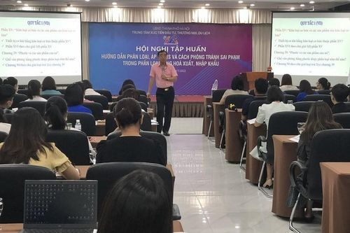 Doanh nghiệp cần lưu ý gì khi phân loại, áp mã HS hàng hóa xuất nhập khẩu?