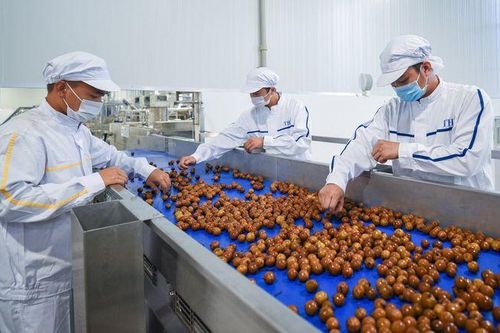 Khuyến công Sơn La: Tập trung đầu tư thiết bị chế biến các sản phẩm từ hoa quả