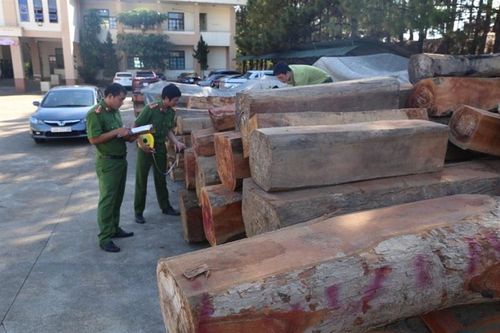 Đắk Nông: Phát huy vai trò đơn vị mũi nhọn trên mặt trận đấu tranh, phòng chống tội phạm kinh tế, tham nhũng