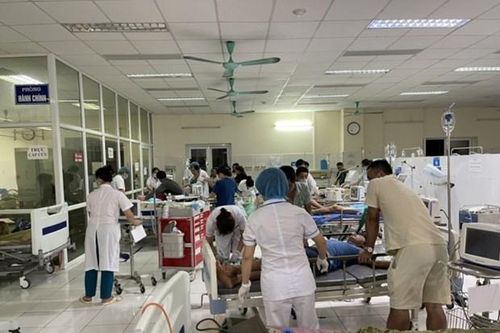 8 người nhập viện vì ngộ độc cây mật gấu