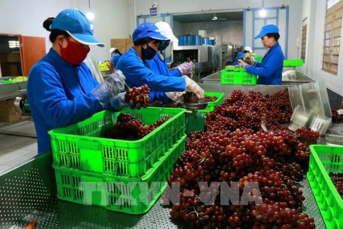 Nhiều chính sách giúp doanh nghiệp, người dân phục hồi sau dịch