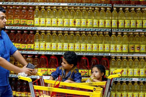 Nga tăng hạn ngạch xuất khẩu dầu hướng dương