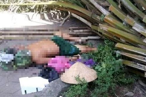 Nghệ An: Cây cọ dừa bật gốc đè chết người trong công viên