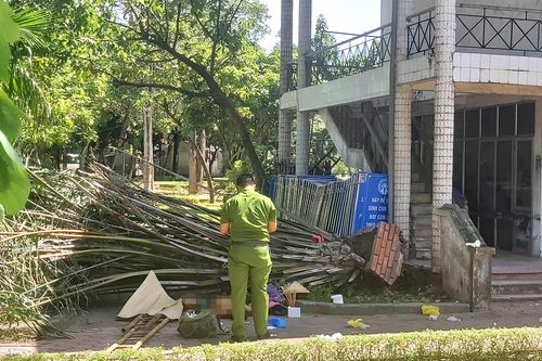 Cây bật gốc đè chết người trong công viên ở Nghệ An