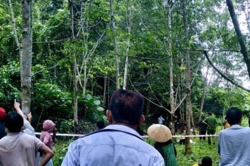 Một người đàn ông ở Hà Tĩnh bị ong đốt tử vong