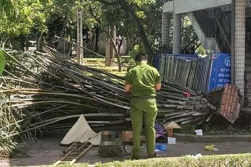 Cây cọ dừa bật gốc đè chết người trong công viên