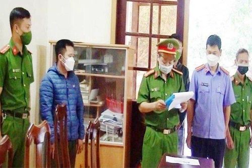 Gia Lai: Kiểm tra trại bò hơn 150ha trên đất rừng