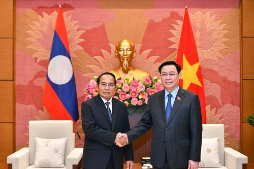 Mối quan hệ Việt Nam - Lào là tài sản vô giá