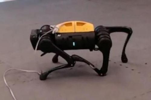 Robot Mỹ đã tự học được cách đi lại