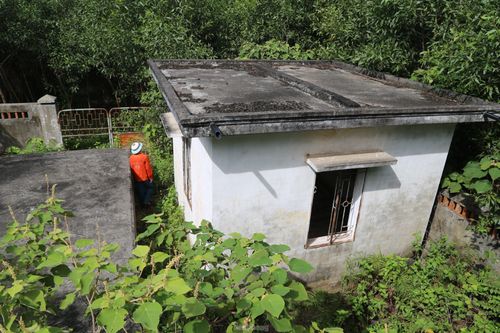 Nhà máy nước tiền tỉ bị bỏ quên giữa heo hút rừng tràm