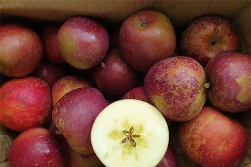 7 loại trái cây Trung Quốc nhập về Việt Nam nhiều nhất, chị em chú ý để tránh mua nhầm