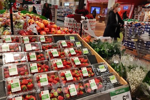 Truy tìm nguyên nhân gây 'bão' lạm phát tại Canada