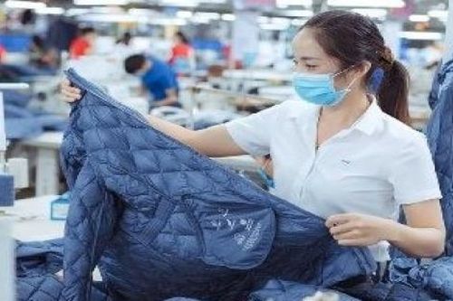 VITAS chủ động ứng phó biến đổi khí hậu ảnh hưởng đến sản xuất
