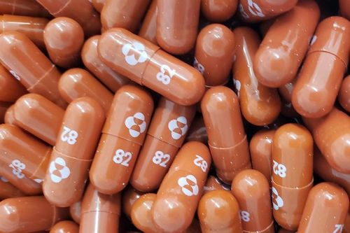 Nghiên cứu tại Nhật: 3 loại thuốc kháng virus hiệu quả chống siêu biến thể BA.5