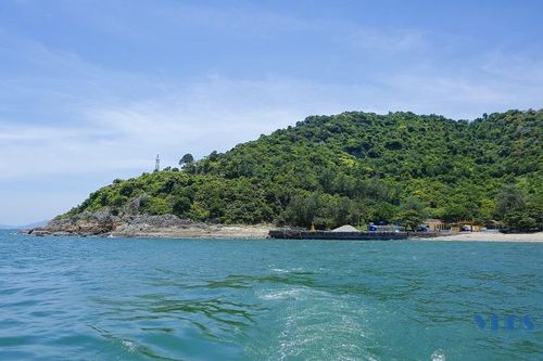 Đa dạng sinh học đảo Hòn Mê