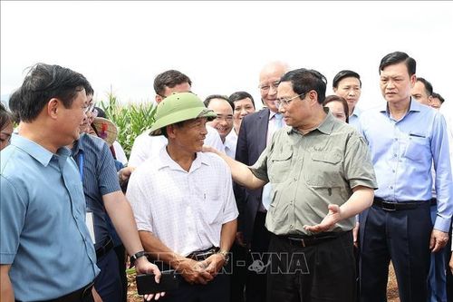 Thủ tướng thăm vùng sản xuất nông nghiệp công nghệ cao tại Nghệ An