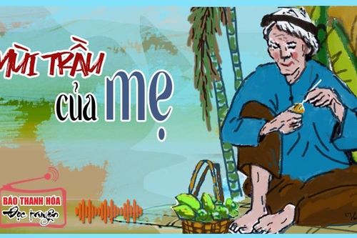 Mùi trầu của mẹ