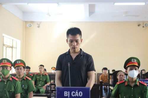 'Hổ dữ ăn thịt con' và nỗi đau tận cùng