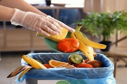 EU tăng cường chống lãng phí thực phẩm nhằm bảo vệ môi trường