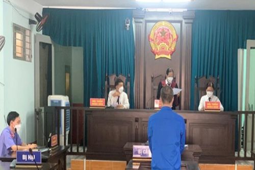 Cái giá của sự côn đồ