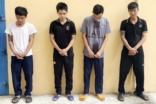 Triệt phá nhóm đối tượng trộm cắp cây cảnh