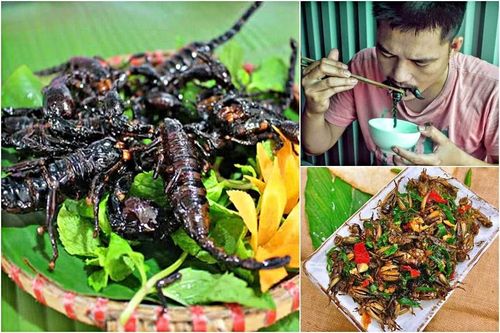 'Vua bò cạp' lên dĩa cùng 10 loài côn trùng nức tiếng ở Nghệ An