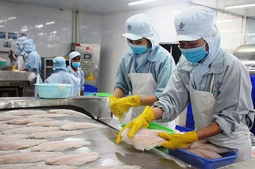 Xuất khẩu nông sản sang Thụy Sĩ: Vượt qua trở ngại