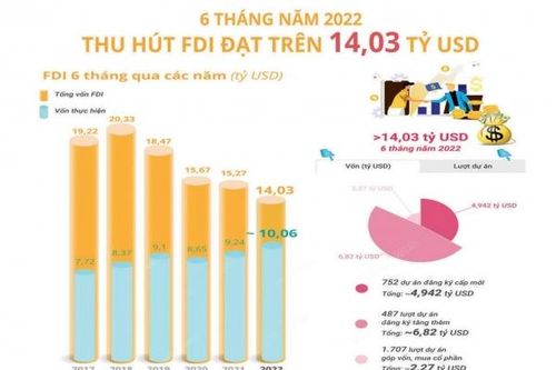 Hợp tác đầu tư nước ngoài giai đoạn 2022 - 2030: Hạn chế mặt trái của đồng tiền FDI
