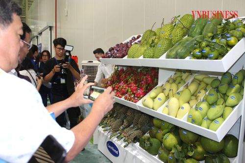 'Chìa khóa' để giữ thị trường xuất khẩu tiềm năng cho ngành hàng rau quả