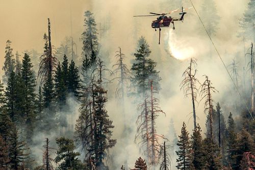 Cháy rừng nghiêm trọng tại California, thiệt hại ở mức báo động