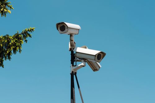 Kiến nghị lắp camera giám sát để bảo tồn san hô ở vịnh Nha Trang