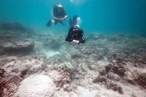 San hô bị hủy hoại chết trắng một vùng: Nha Trang lắp camera, tuần tra 24/24