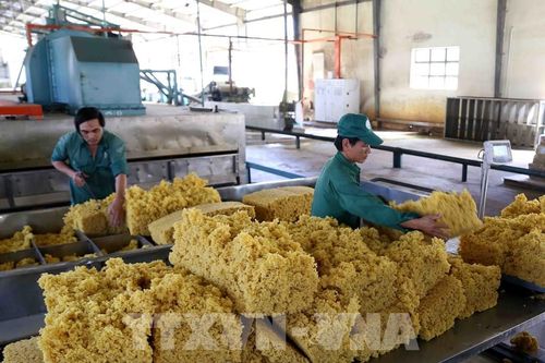 Việt Nam là quốc gia lớn thứ ba thế giới về lượng cung cao su thiên nhiên