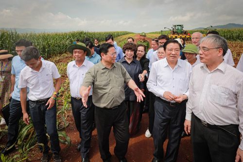 'Trái ngọt' từ mô hình kinh tế tuần hoàn và phát triển bền vững của Tập đoàn TH