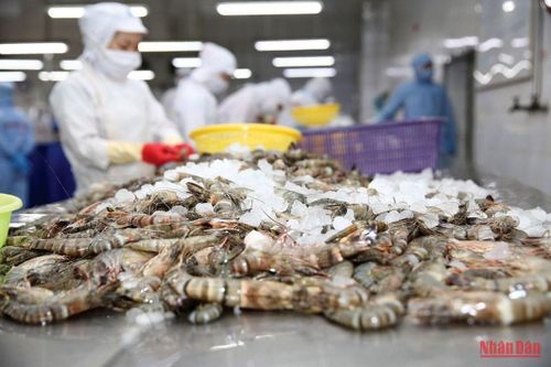 Giải 'bài toán' thiếu nguyên liệu cho doanh nghiệp xuất khẩu