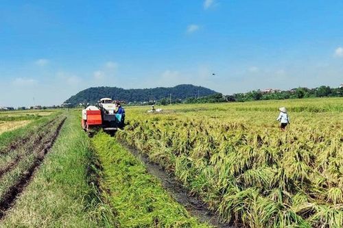 Nam Định: Đánh giá sự hài lòng của người dân trong xây dựng nông thôn mới nâng cao