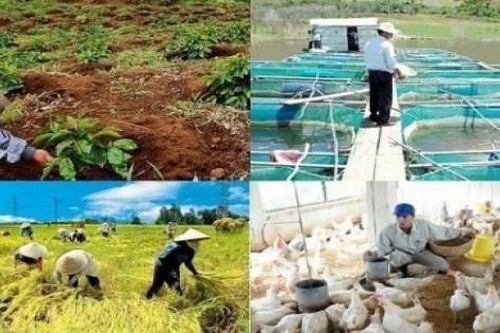 Luật Các tổ chức kinh tế hợp tác: Kỳ vọng phát triển kinh tế tập thể lớn mạnh