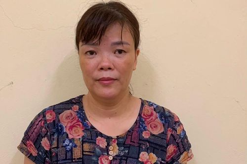'Nữ quái' chuyên trộm cắp tài sản của người nước ngoài