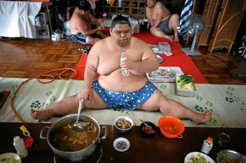 Chế độ ăn gấp 4 lần người thường của võ sĩ sumo