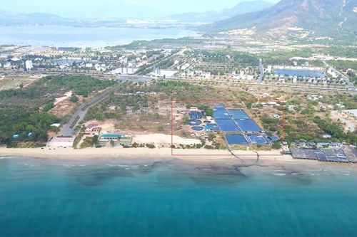 Khánh Hòa: Dân bức xúc vì nước thải trại nuôi tôm đổ ra biển Bãi Dài