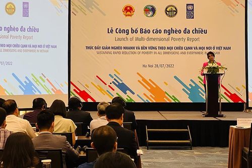 Thúc đẩy giảm nghèo nhanh và bền vững ở Việt Nam