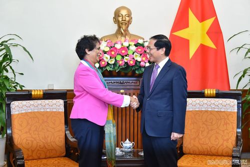 Trợ lý Tổng Thư ký Liên hợp quốc ấn tượng với các cam kết mạnh mẽ của Việt Nam về ứng phó với biến đổi khí hậu