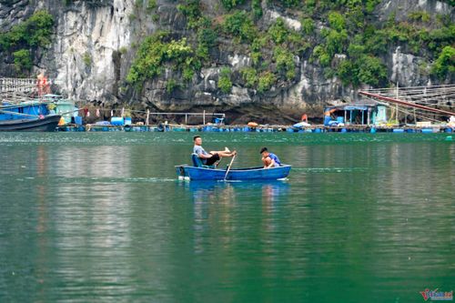 Cảnh bình yên ở làng chài cổ 'đẹp nhất thế giới' trên vịnh Hạ Long
