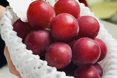 Người nội trợ đua nhau mua nho đắt nhất thế giới bán tràn lan tại Việt Nam