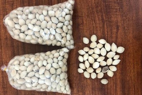 Lừa bán bạch quả chữa bệnh, chiếm đoạt hàng trăm triệu đồng