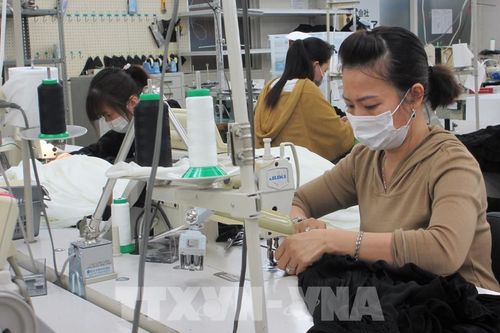 Nhật Bản tìm cách giảm phí môi giới cho các thực tập sinh Việt Nam