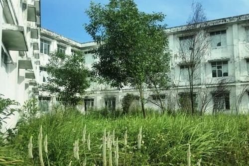 Cận cảnh bệnh viện đa khoa hàng trăm tỷ hoang tàn, cây dại bủa vây tại Huế
