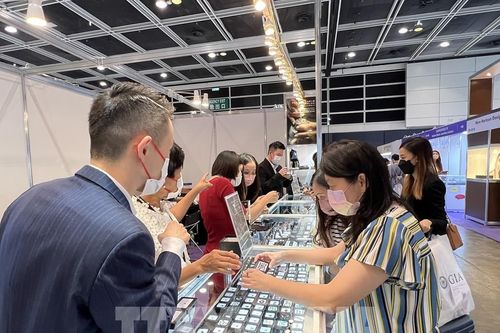Cixi có kế hoạch đầu tư và giới thiệu đá quý của Việt Nam ra thị trường quốc tế