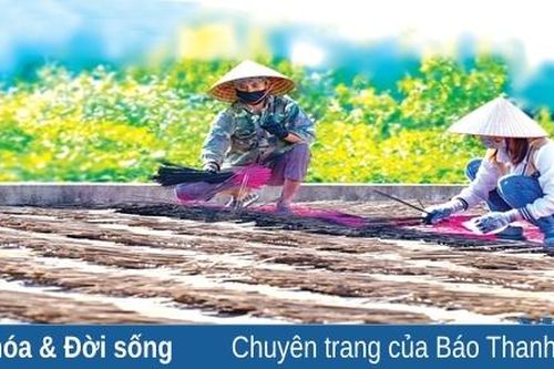 Hương bài Yên Cát